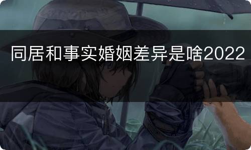 同居和事实婚姻差异是啥2022