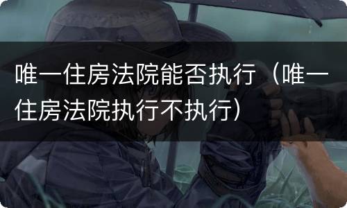 唯一住房法院能否执行（唯一住房法院执行不执行）