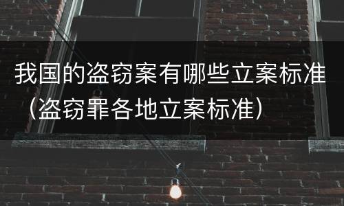 我国的盗窃案有哪些立案标准（盗窃罪各地立案标准）