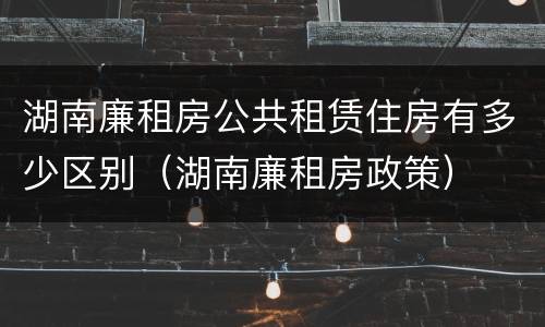 湖南廉租房公共租赁住房有多少区别（湖南廉租房政策）