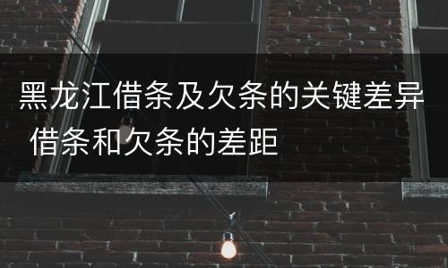 黑龙江借条及欠条的关键差异 借条和欠条的差距