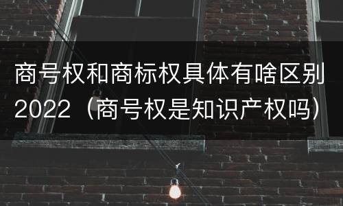 商号权和商标权具体有啥区别2022（商号权是知识产权吗）