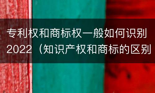 专利权和商标权一般如何识别2022（知识产权和商标的区别）