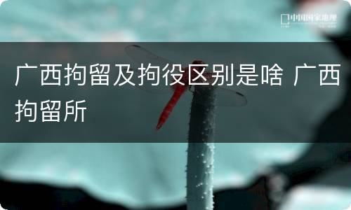 广西拘留及拘役区别是啥 广西拘留所