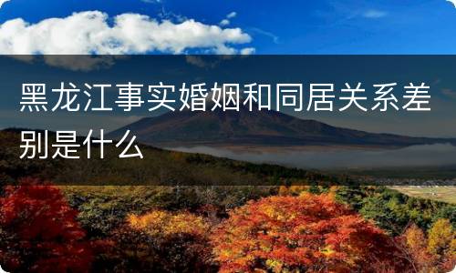 黑龙江事实婚姻和同居关系差别是什么