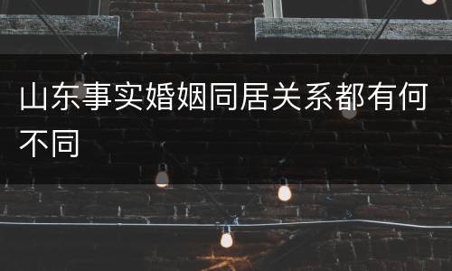 山东事实婚姻同居关系都有何不同