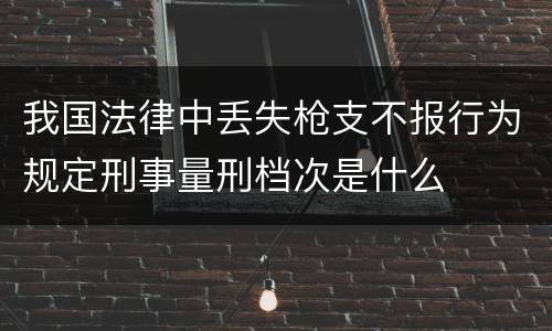 我国法律中丢失枪支不报行为规定刑事量刑档次是什么