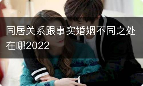 同居关系跟事实婚姻不同之处在哪2022