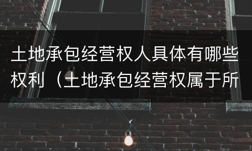 土地承包经营权人具体有哪些权利（土地承包经营权属于所有权吗）
