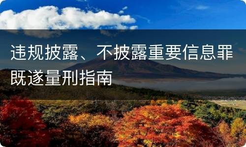 违规披露、不披露重要信息罪既遂量刑指南