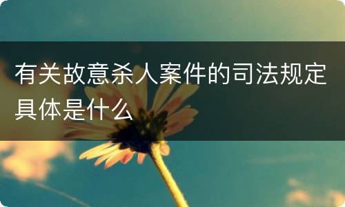 有关故意杀人案件的司法规定具体是什么