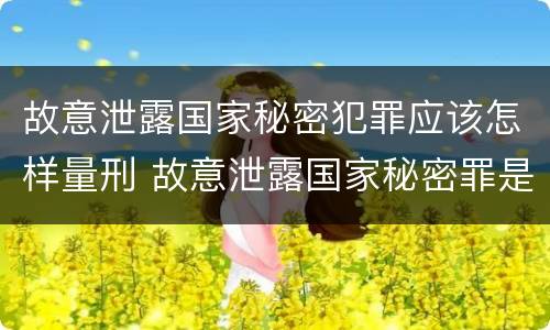 故意泄露国家秘密犯罪应该怎样量刑 故意泄露国家秘密罪是行为犯吗
