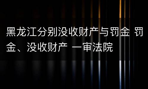 黑龙江分别没收财产与罚金 罚金、没收财产 一审法院