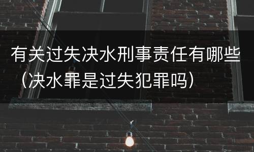 有关过失决水刑事责任有哪些（决水罪是过失犯罪吗）
