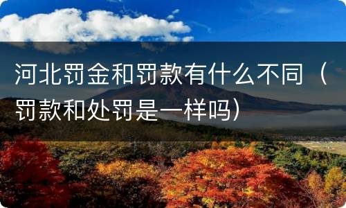 河北罚金和罚款有什么不同（罚款和处罚是一样吗）