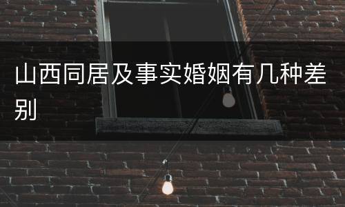 山西同居及事实婚姻有几种差别