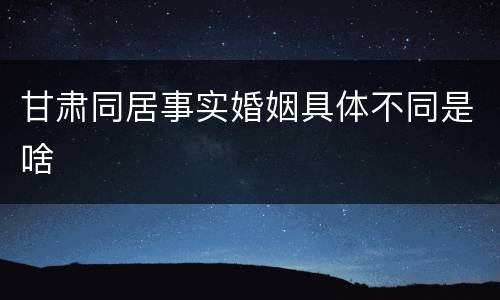 甘肃同居事实婚姻具体不同是啥