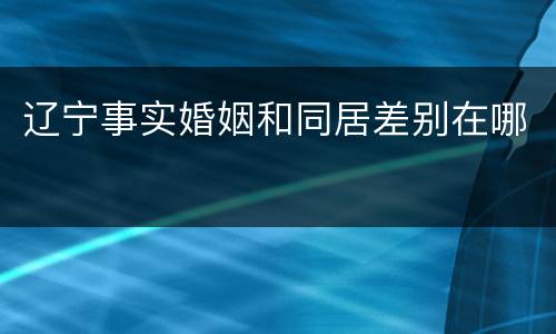 辽宁事实婚姻和同居差别在哪
