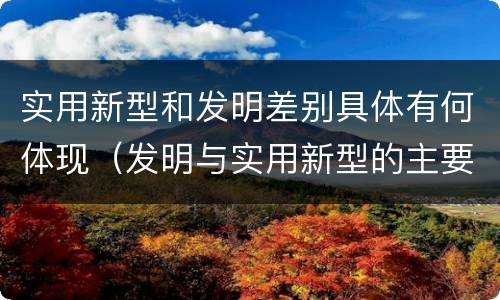 实用新型和发明差别具体有何体现（发明与实用新型的主要区别）