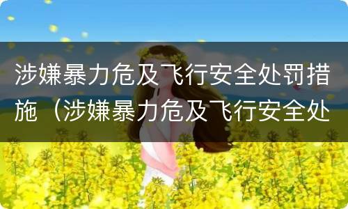 涉嫌暴力危及飞行安全处罚措施（涉嫌暴力危及飞行安全处罚措施）