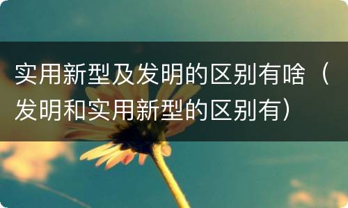 实用新型及发明的区别有啥（发明和实用新型的区别有）