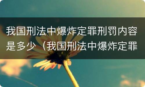 我国刑法中爆炸定罪刑罚内容是多少（我国刑法中爆炸定罪刑罚内容是多少章）