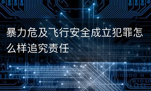 暴力危及飞行安全成立犯罪怎么样追究责任