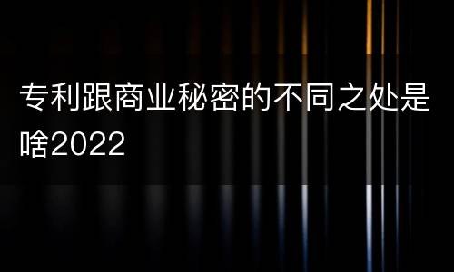 专利跟商业秘密的不同之处是啥2022