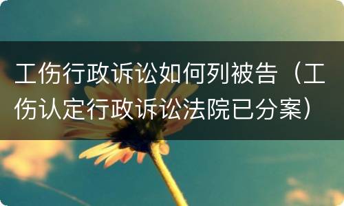 工伤行政诉讼如何列被告（工伤认定行政诉讼法院已分案）