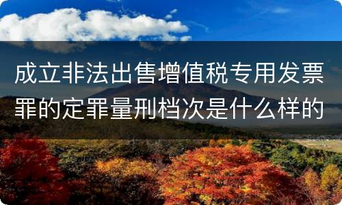 成立非法出售增值税专用发票罪的定罪量刑档次是什么样的