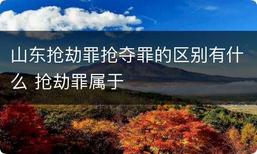 山东抢劫罪抢夺罪的区别有什么 抢劫罪属于