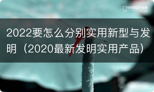 2022要怎么分别实用新型与发明（2020最新发明实用产品）