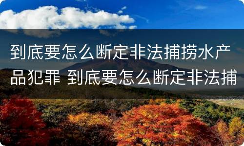 到底要怎么断定非法捕捞水产品犯罪 到底要怎么断定非法捕捞水产品犯罪行为