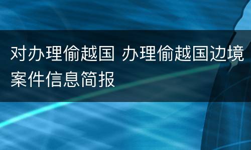 对办理偷越国 办理偷越国边境案件信息简报