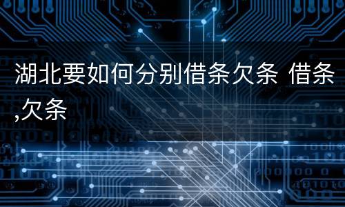 湖北要如何分别借条欠条 借条,欠条