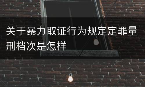 关于暴力取证行为规定定罪量刑档次是怎样