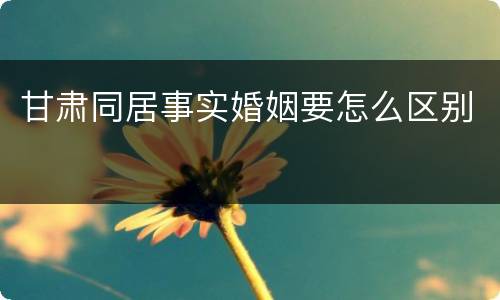 甘肃同居事实婚姻要怎么区别