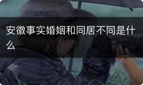 安徽事实婚姻和同居不同是什么