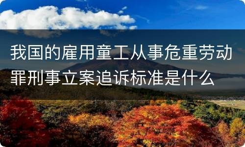 我国的雇用童工从事危重劳动罪刑事立案追诉标准是什么