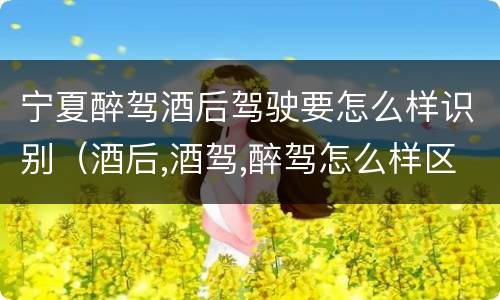 宁夏醉驾酒后驾驶要怎么样识别（酒后,酒驾,醉驾怎么样区分）