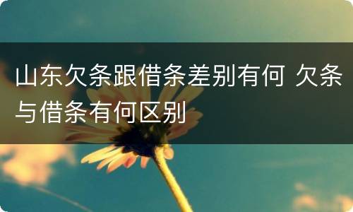 山东欠条跟借条差别有何 欠条与借条有何区别