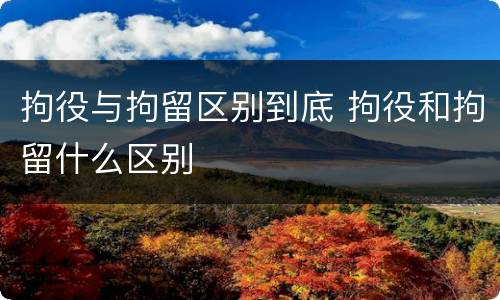 拘役与拘留区别到底 拘役和拘留什么区别