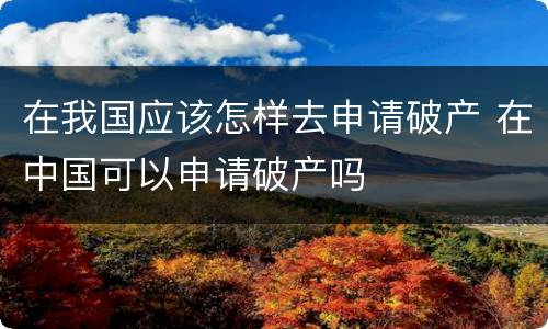 在我国应该怎样去申请破产 在中国可以申请破产吗