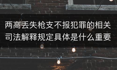 两高丢失枪支不报犯罪的相关司法解释规定具体是什么重要内容