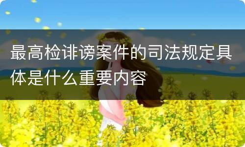最高检诽谤案件的司法规定具体是什么重要内容