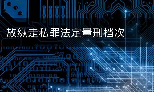 放纵走私罪法定量刑档次