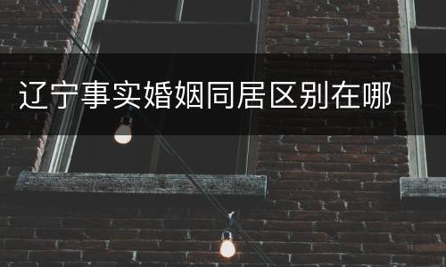 辽宁事实婚姻同居区别在哪