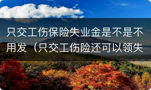 只交工伤保险失业金是不是不用发（只交工伤险还可以领失业金吗）