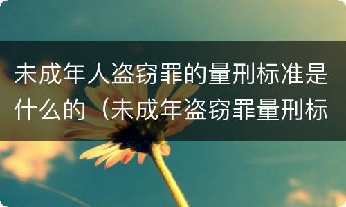 未成年人盗窃罪的量刑标准是什么的（未成年盗窃罪量刑标准金额最新标准）