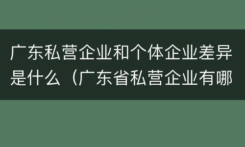 广东私营企业和个体企业差异是什么（广东省私营企业有哪些）